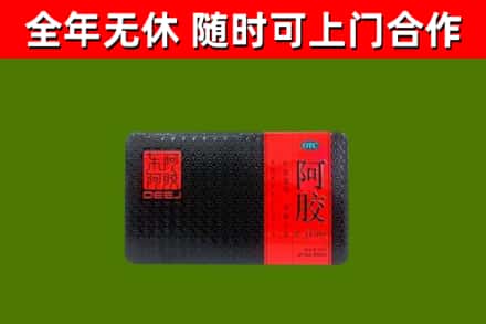 太原烟酒回收阿胶.jpg